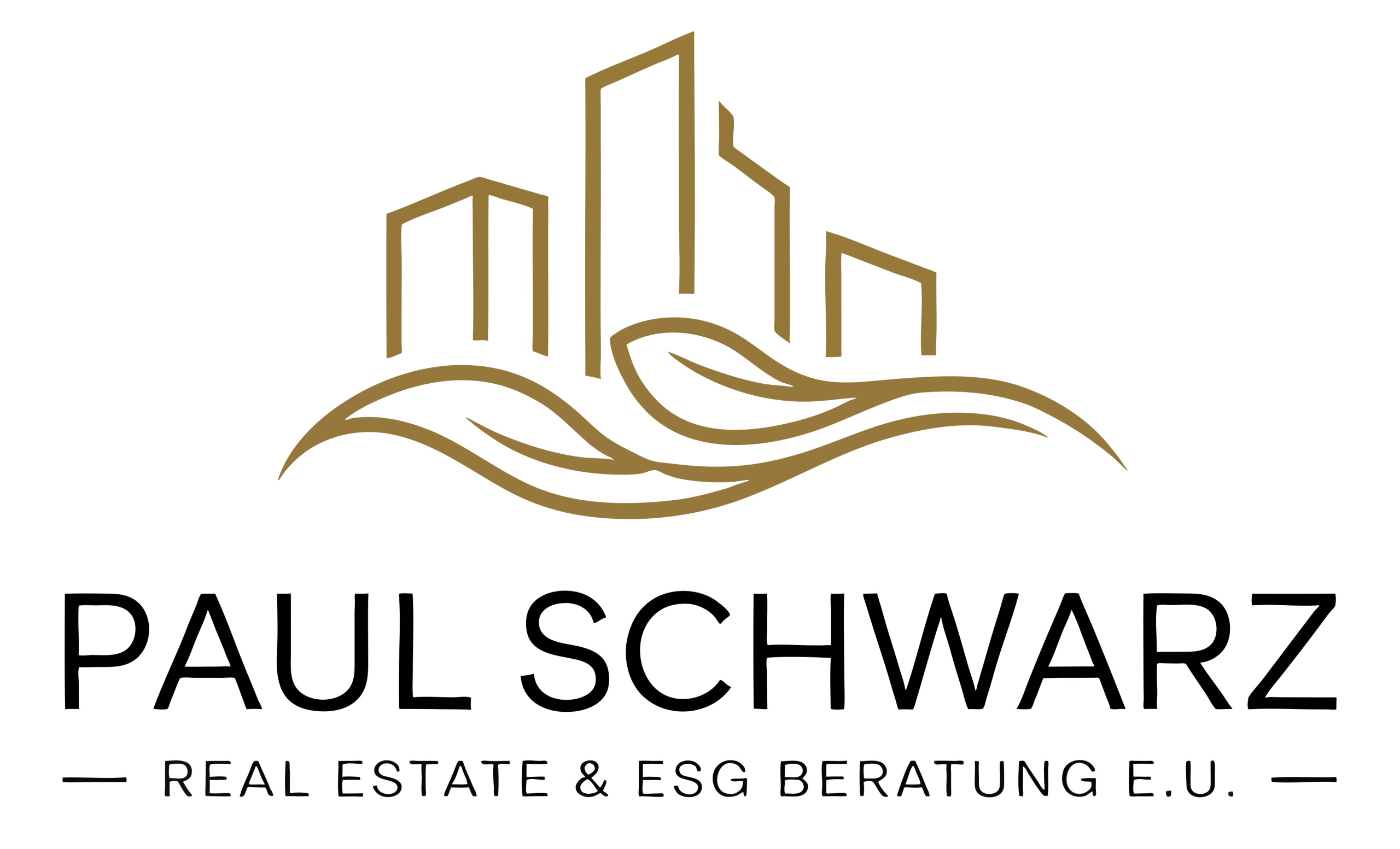 Paul Schwarz - Real Estate & ESG Beratung